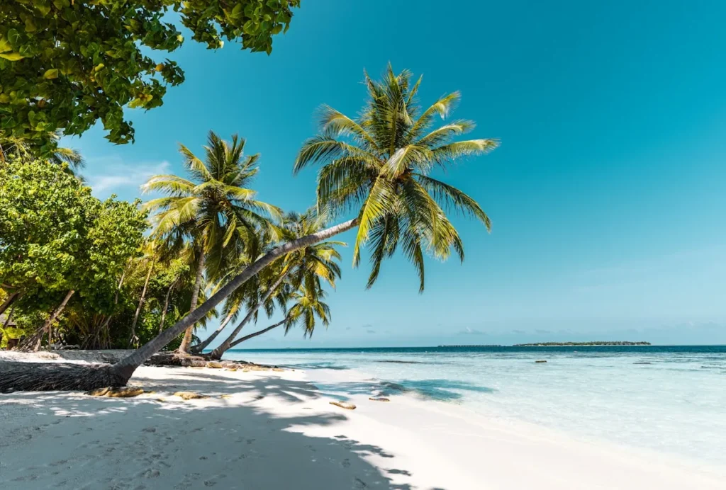 Le Isole Tropicali: Paradisi per Viaggiatori Solitari