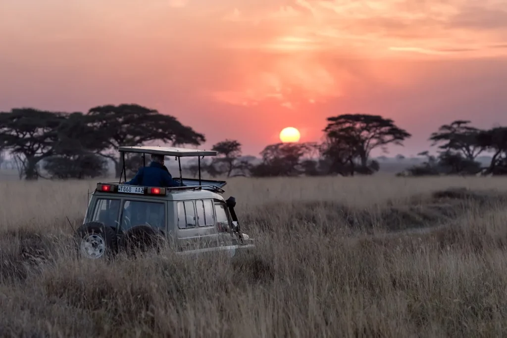 Safari in Famiglia: Avventure Indimenticabili con i Bambini