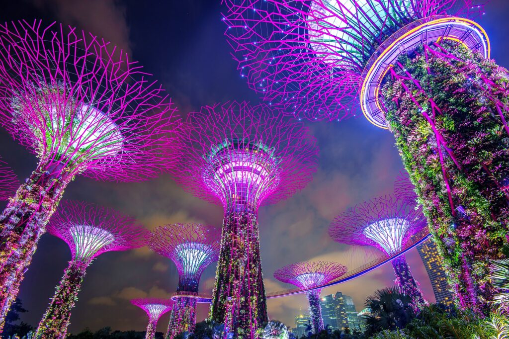 Cosa vedere a Singapore: itinerari tra skyline, quartieri e giardini futuristici